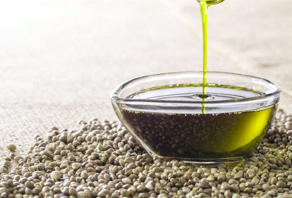 Ulei de canabis: Contraindicații și Precauții