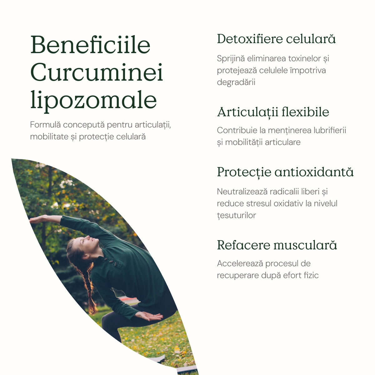 Curcumin Lipozomal