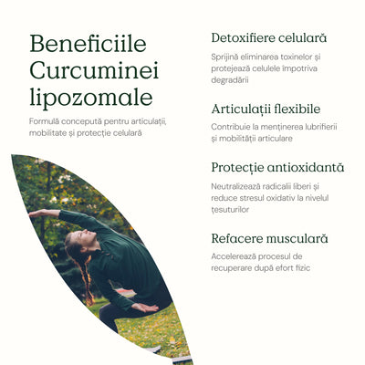 Curcumin Lipozomal