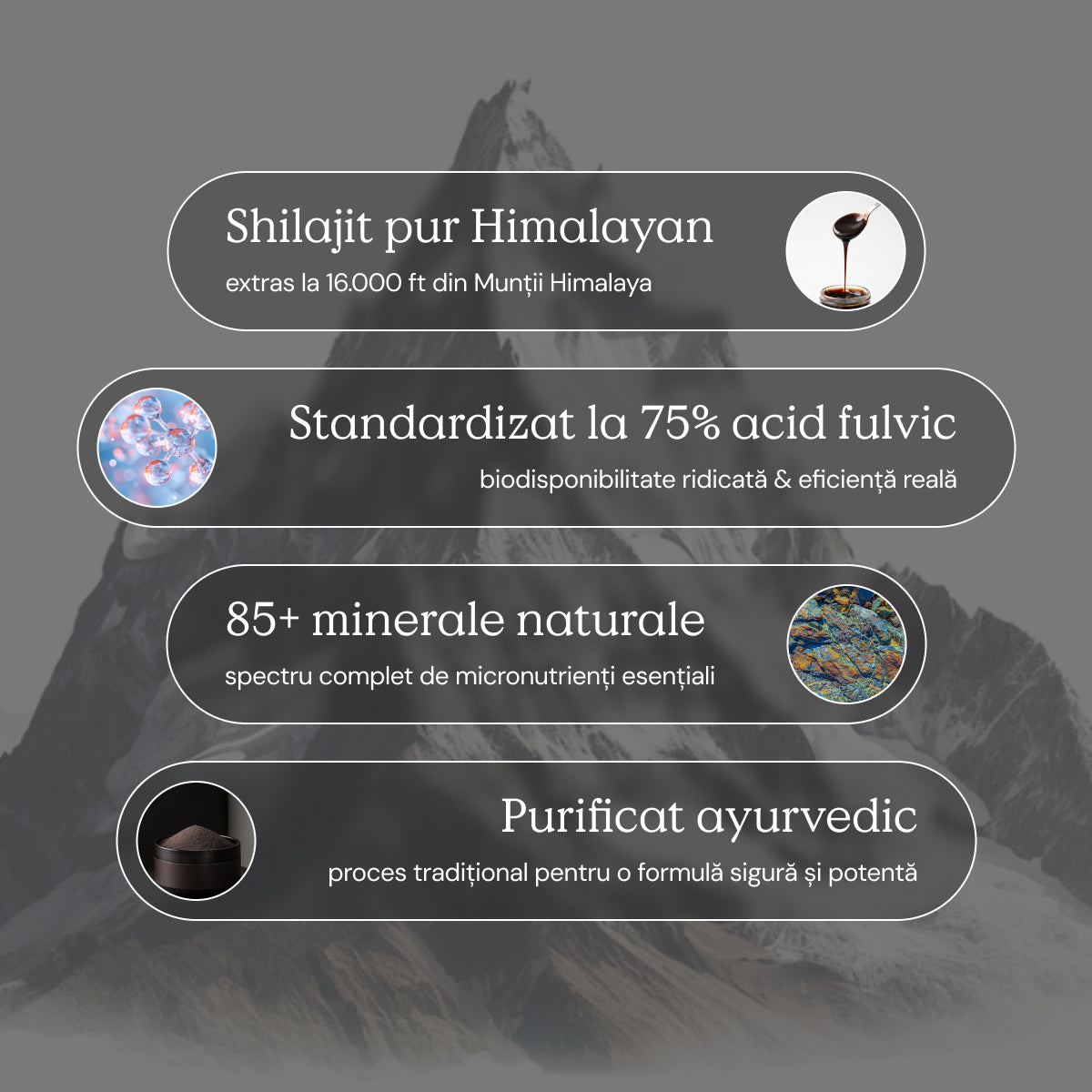 Shilajit Himalayan